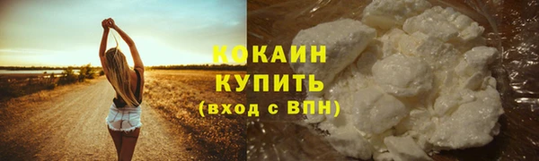 амф Богданович